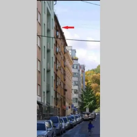 Andel With Terrace *