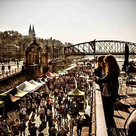 Andel With Terrace Apartment *